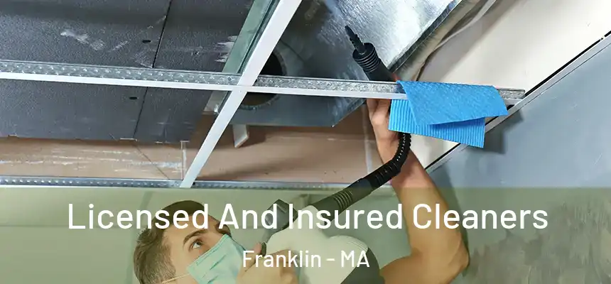 Licensed And Insured Cleaners Franklin - MA