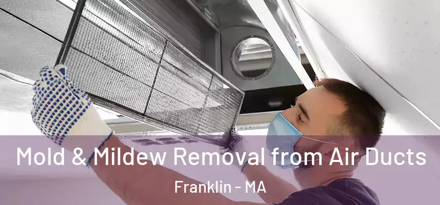 Mold & Mildew Removal from Air Ducts Franklin - MA