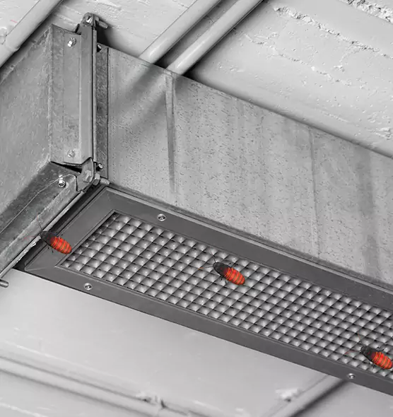 About Air Duct Cockroach Removal in Franklin, MA
