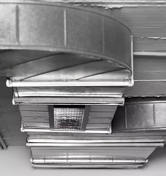 Professional Air Duct Pest Removal in Franklin, MA