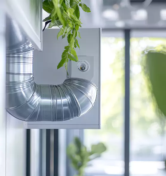 Professional Eco-Safe Dryer Vent Cleaning in Franklin, MA