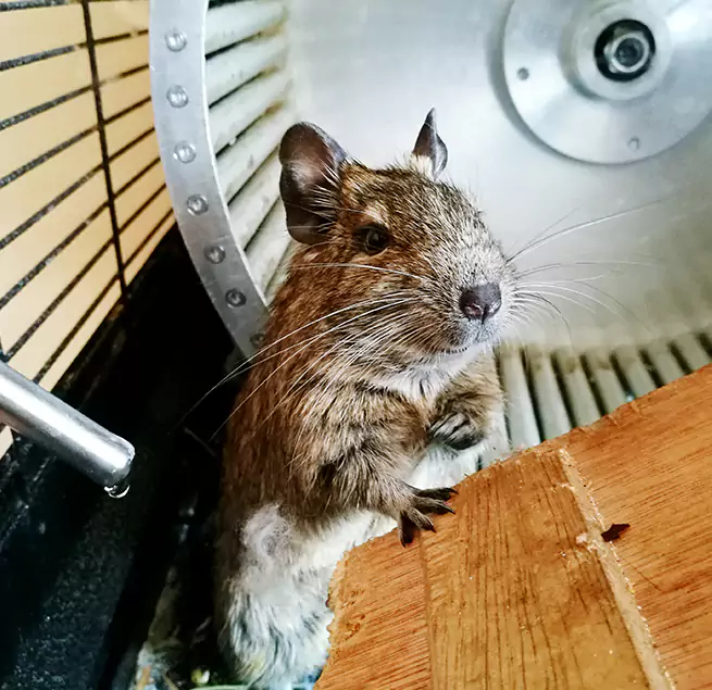 Why Homeowners & Businesses Trust Us Franklin, MA